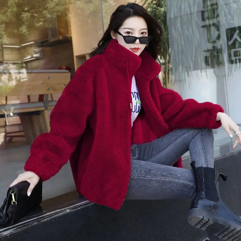 Femmes hiver Double corail polaire manteau chaud col montant en peluche épais pardessus femme mode décontracté à manches longues fermeture éclair vêtements