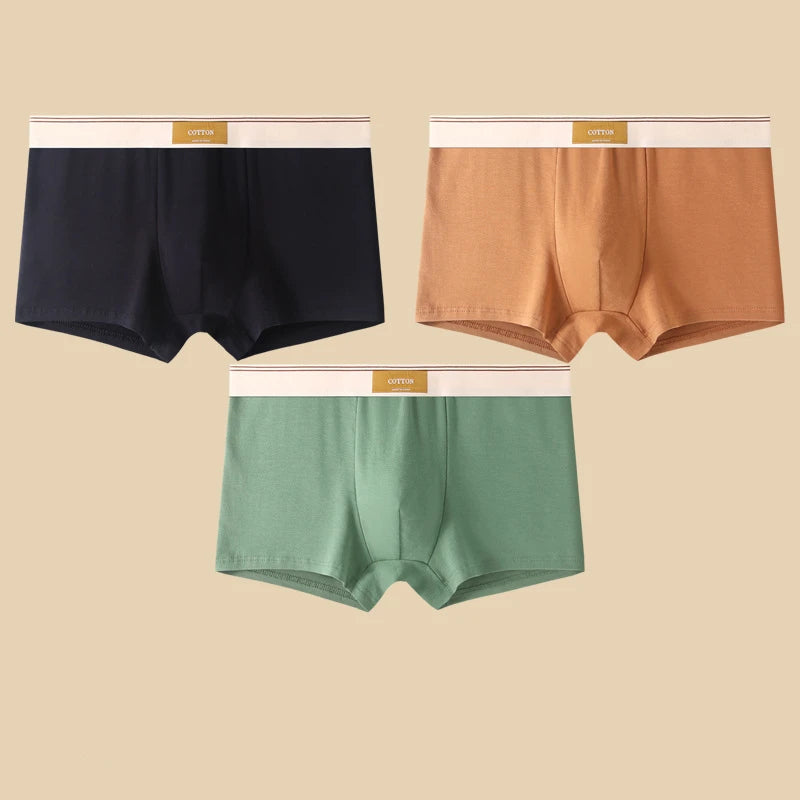 3 pièces sous-vêtements masculins Hombre culottes Boxershorts confortable respirant sous-vêtements en coton sous-vêtements Sexy couleur unie Boxer Shorts