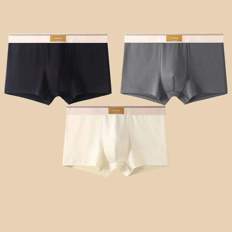 3 pièces sous-vêtements masculins Hombre culottes Boxershorts confortable respirant sous-vêtements en coton sous-vêtements Sexy couleur unie Boxer Shorts