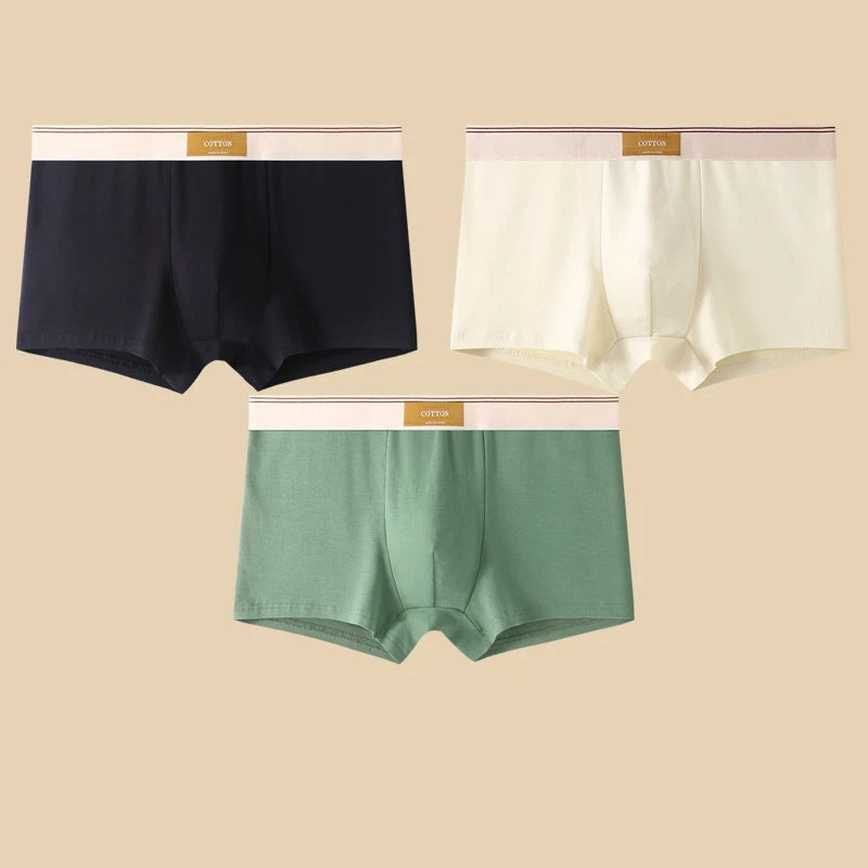 3 pièces sous-vêtements masculins Hombre culottes Boxershorts confortable respirant sous-vêtements en coton sous-vêtements Sexy couleur unie Boxer Shorts