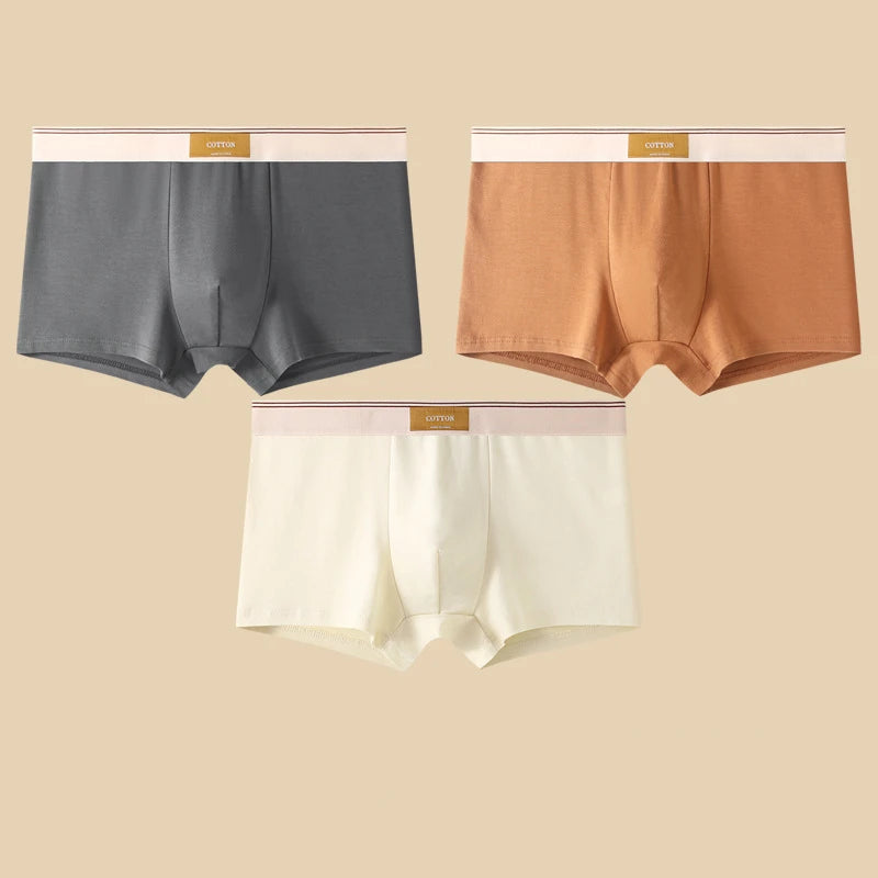 3 pièces sous-vêtements masculins Hombre culottes Boxershorts confortable respirant sous-vêtements en coton sous-vêtements Sexy couleur unie Boxer Shorts