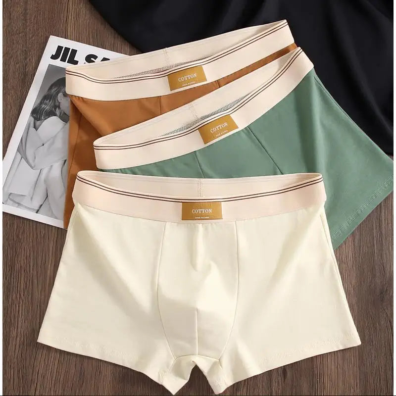 3 pièces sous-vêtements masculins Hombre culottes Boxershorts confortable respirant sous-vêtements en coton sous-vêtements Sexy couleur unie Boxer Shorts