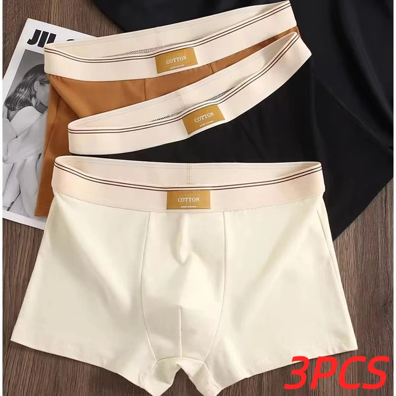3 pièces sous-vêtements masculins Hombre culottes Boxershorts confortable respirant sous-vêtements en coton sous-vêtements Sexy couleur unie Boxer Shorts