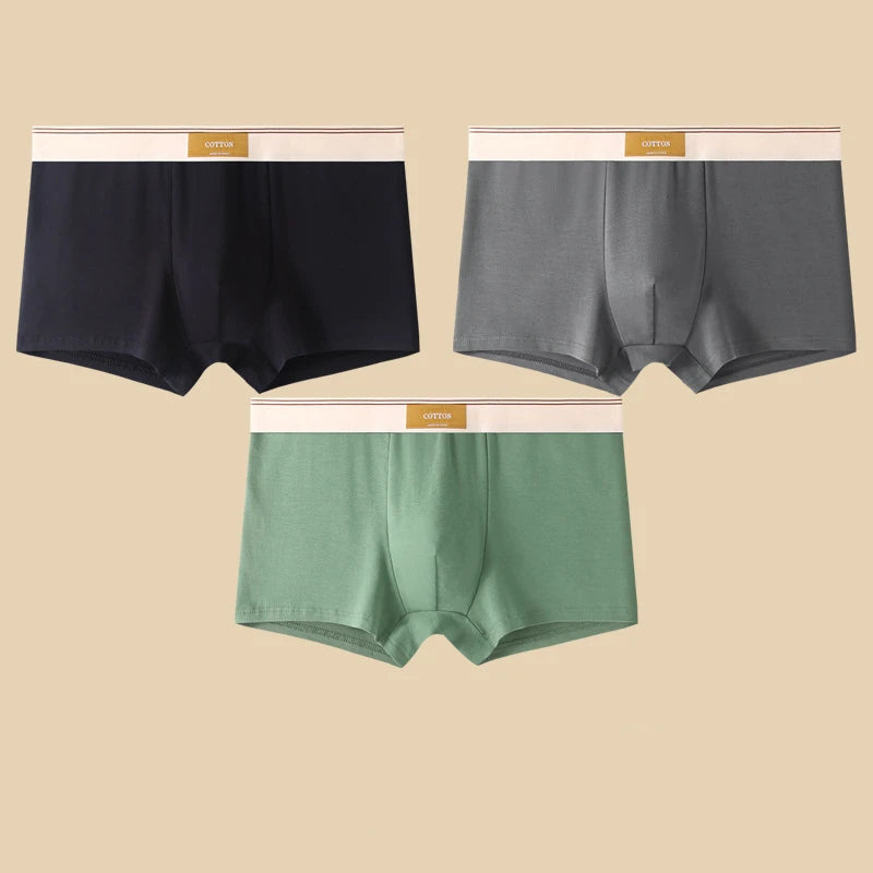 3 pièces sous-vêtements masculins Hombre culottes Boxershorts confortable respirant sous-vêtements en coton sous-vêtements Sexy couleur unie Boxer Shorts