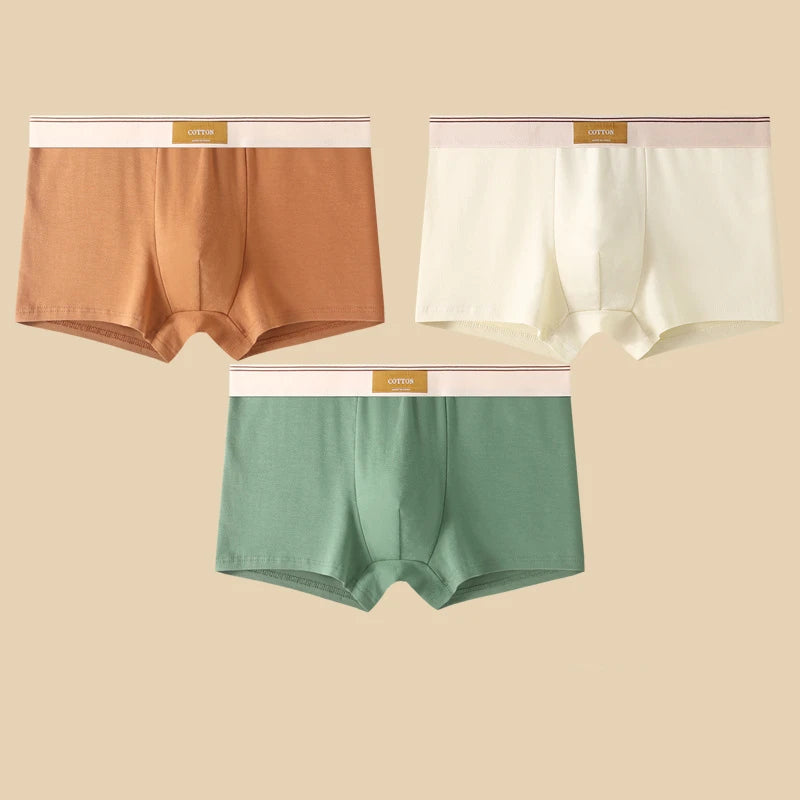 3 pièces sous-vêtements masculins Hombre culottes Boxershorts confortable respirant sous-vêtements en coton sous-vêtements Sexy couleur unie Boxer Shorts