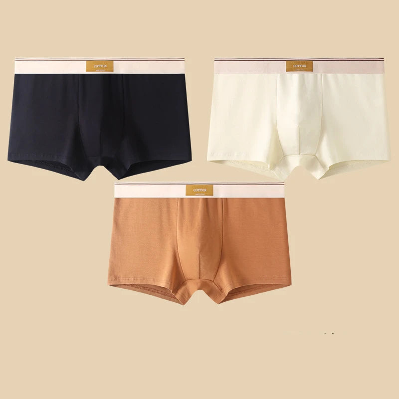 3 pièces sous-vêtements masculins Hombre culottes Boxershorts confortable respirant sous-vêtements en coton sous-vêtements Sexy couleur unie Boxer Shorts