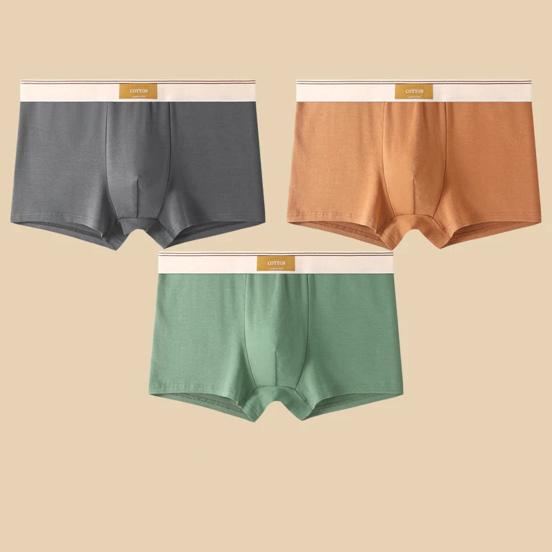 3 pièces sous-vêtements masculins Hombre culottes Boxershorts confortable respirant sous-vêtements en coton sous-vêtements Sexy couleur unie Boxer Shorts