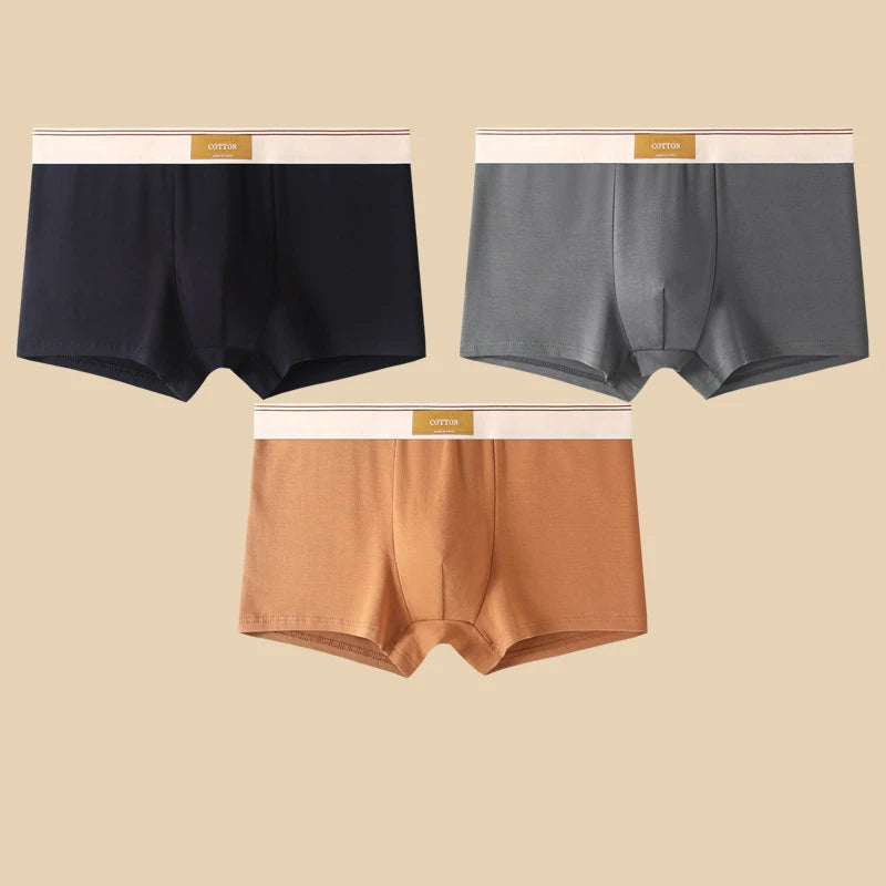 3 pièces sous-vêtements masculins Hombre culottes Boxershorts confortable respirant sous-vêtements en coton sous-vêtements Sexy couleur unie Boxer Shorts