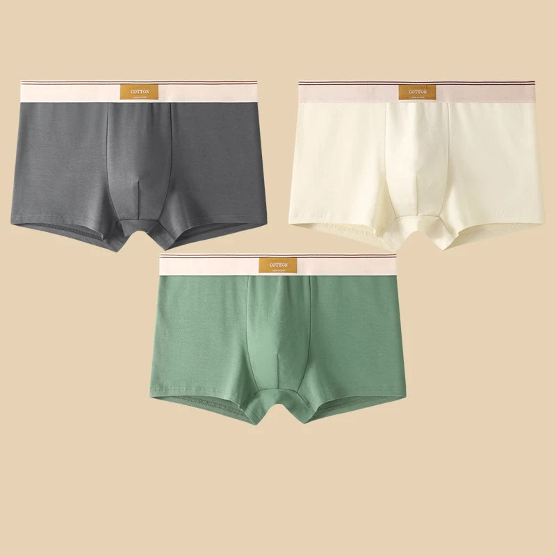 3 pièces sous-vêtements masculins Hombre culottes Boxershorts confortable respirant sous-vêtements en coton sous-vêtements Sexy couleur unie Boxer Shorts